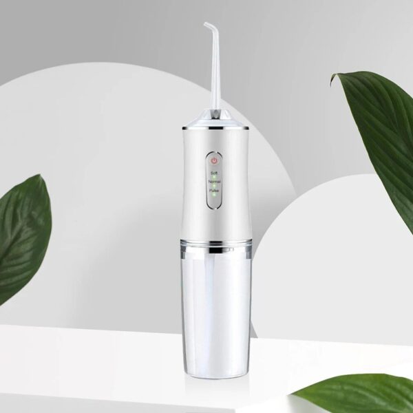 Portable Electric Dental Water Flosser - Image 4